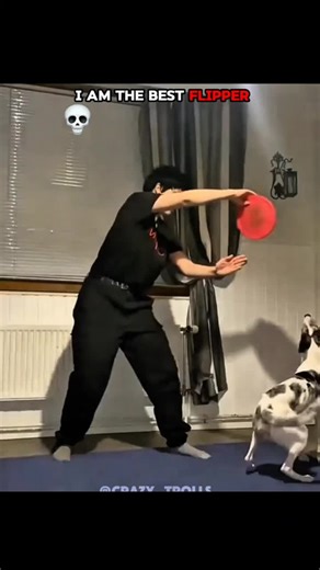 Dogs vs Cats Backflip Showdown