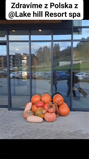 Syn si přál někam vyrazit jenom se mnou. Chvíli nam trvalo se rozhodnout kam, nakonec to vyhrálo Polsko a Lake Hill Spa resort. Vnímám, jak je pro nás společný čas vyživující a jak málo si ho během roku dopřejeme. Zastavení a relax je důležitý pro každého z nás v rámci prevence, práce se svým nervový systémem. Měl by to být v dnešní době již základ péče o tělo,ducha i mysl Pro všechny lidi. #holiday #zastaveni #relax #cassesynem #matkaasyn #srdecnizalezitost #spolecnycas | Šárka Hornová