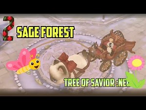 NEW MMORPG Tree of Savior: NEO – Explore Sage Forest || #gameplay #mmorpg