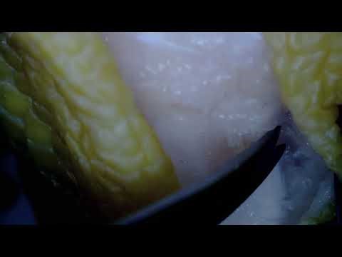 MicroSurgical dissection training