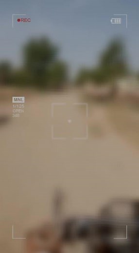 Beautiful White Oxen Running in Rural Landscape