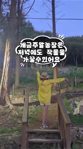 ✨️야간주말농장도 가능한 개금주말농장 임대 체험 모집중입니다✨️ #부산맛집 #부산캠핑 #여행 #농사 #기장시장 #부산토지