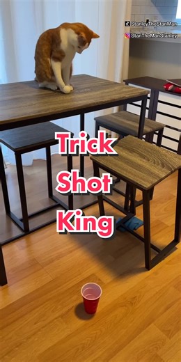 Trick Shot King: Unleashing the Ultimate Cat Skills