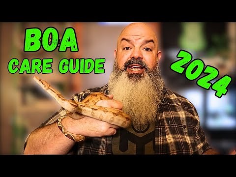 Boa Care Guide 2024