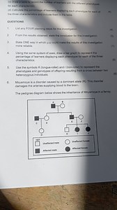 List any FOUR planning steps for this investigation.From the r... | Filo