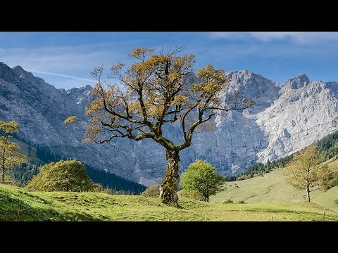 Muzyka Medytacyjna Na Wyciszenie + Muzyka Do Głębokiej Medytacji i Koncentracji + Muzyka Zdrowotna