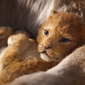 ¡El rey ha regresado! 🦁 #ElReyLeón ya está cines. | Disney Channel Latinoamérica