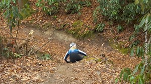 Jolanda Neff spricht über ihren Sturz