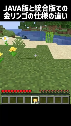 【マイクラ】JAVA版と統合版での金リンゴの仕様の違い #shorts