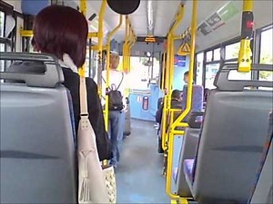 Journey On The 90 (DLD181,Y659NLO) Dennis Dart SLF 10.2m/Plaxton Pointer 2