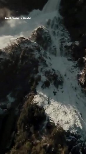 51K views · 96 reactions | Incredible footage! | IFLScience | Facebook