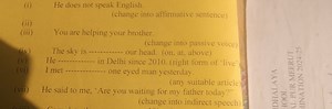 (i) He does not speak English.(change into affirmative sentenc... | Filo