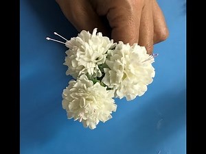 Gumpaste( flower paste) carnations