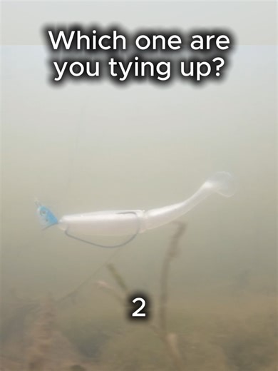 One of these will catch you a 5lb bass...🤯💪 #fishing #reactiontackle