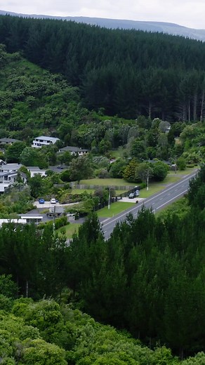 Understanding Hunting in Aotearoa: A Lifestyle Choice