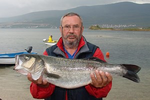 Panulavanje brancina i lice ne mora biti komplicirano. S ovim jednostavnim sistemom rezultati su sigurni