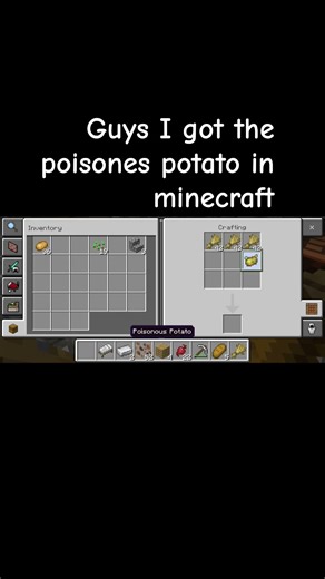guys I got poisones potato in minecraft