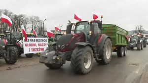 18 reactions | Polish farmers protest against EU measures, Ukrainian...