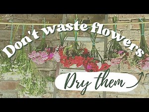 Cut Flowers, Dry Flowers: A Simple Guide to Home Flower Drying