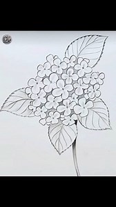 520K views · 6.2K reactions | Easy drawing | Hydrangea Flower #pencildrawing #drawing #pencilsketch | Drawing Book | Facebook