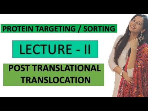 Protein Targeting/Sorting - Lecture II|Post Translational Translocation|Endoplasmic Reticulum|