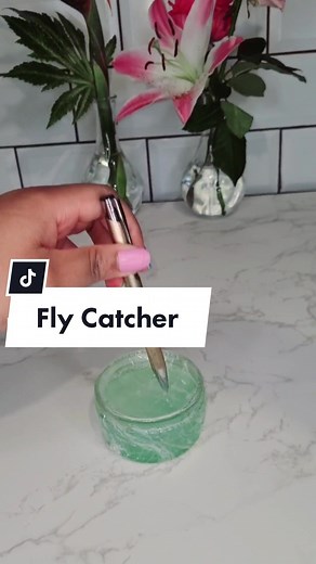I can't believe this worked... #lifehacktok #flycatcher #fruitflies #homehacks