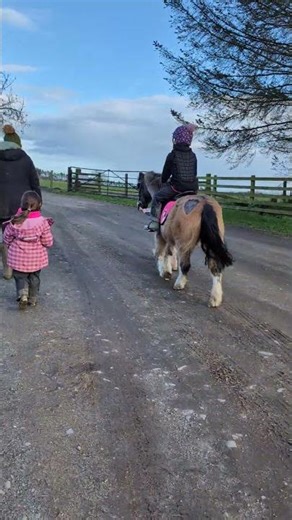 My first time riding a horse(loved it.)