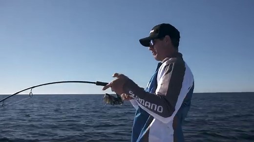 Shimano Nasci Reviewed & Compared 2021 [Pros, Cons & Alternatives]