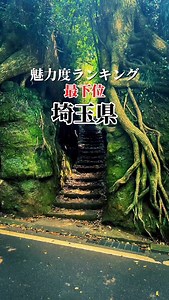 埼玉の評価が追いついていないまとめ 名店10選「前編」 ⑩ #セレーノホテル 住所 埼玉県さいたま市中央区新都心3-2 ⑨ 蜂蜜と米 住所 埼玉県川越市連雀町16-7 2F ⑧ #きのこの里 鈴加園 住所 埼玉県秩父市荒川小野原178 ⑦ #小川ぐらしの茄子おやじ 住所 埼玉県比企郡小川町小川110-1 ⑥ #遊菓堂 住所 埼玉県川越市中福504-4 保存して制覇してみてください。 #魅力度ランキング#埼玉#埼玉グルメ#埼玉県 | 埼玉フード グルメ•スポット