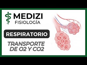 Clase 41 Fisiología Respiratoria - Transporte de O2 y CO2 en la sangre y tejidos (IG:@doctor.paiva)