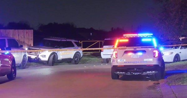 Harris County: Two teens arrested in another teen's shooting death near High Stone Lane, sheriff says