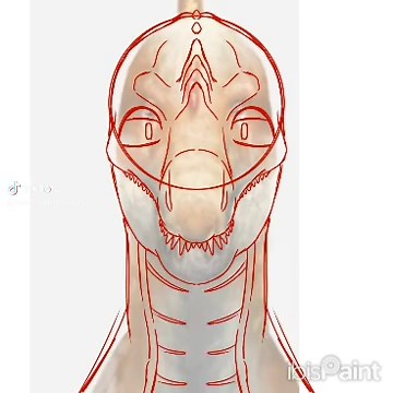 Drawing Victus the Spinosaurus from the front view is such a curse 💀 #anthro #oc #furry #speedpaint #spinosaurus