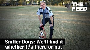 477K views · 1.5K reactions | You better not even think of a drug in NSW. Our sniffer dogs are an amazing 20% accurate. | The Feed SBS | Facebook