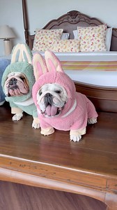 26K views · 7.7K reactions | Too cute to handle… and too heavy to...