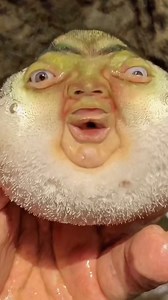 I caught a weird fish🤣🤣🤣 #fishinglife #mutant #cursed #bodyhorror #aiart #aiartcommunity #aiartwork #aiartist | Roman Gorodetskyi