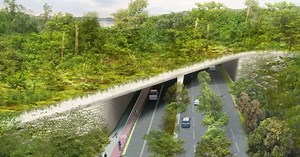 10 Fascinating Facts about Wildlife Bridges