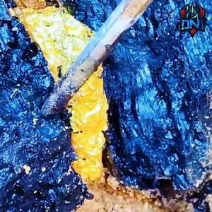 Gold veins! After many years we finally found a bunch of high quality gold | ONI