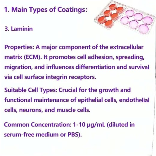 Coated Cell Culture Plate