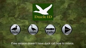 Duck ID