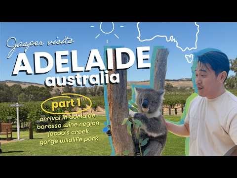 ADELAIDE, AUSTRALIA Part 1 | Travel Vlog | Winery + Wildlife