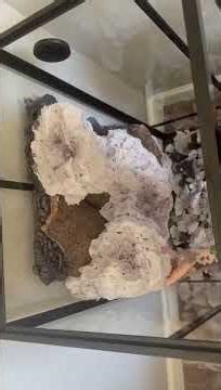 Hands-on creativity meets REPTIZOO quality 🙌