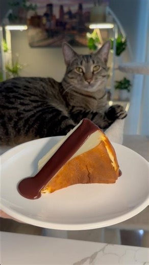 Spanish Cheesecake | San Sebastian | Basque Cheesecake 💣