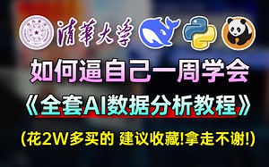 【deepseek 数据分析保姆级教程】2025最全最细自学AI数据分析全套教程，逼自己一周学完数据分析，七天就能从数据分析小白到大神！包含所有干货！