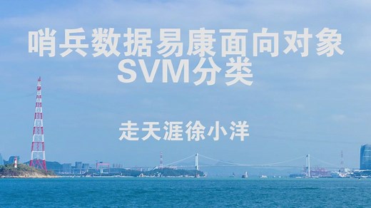 哨兵数据易康面向对象SVM分类