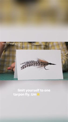 Mad River Outfitters on Instagram: "Best Tarpon fly of all time goes to? 🪳"