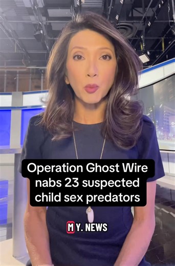 23 suspected child sex predators are arrested during Operation Ghost Wire | Julie Luck TV