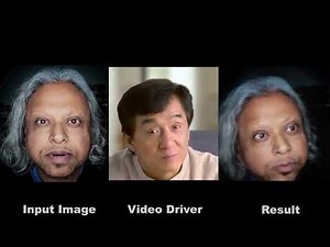 Thin Plate Spline Motion Model Test