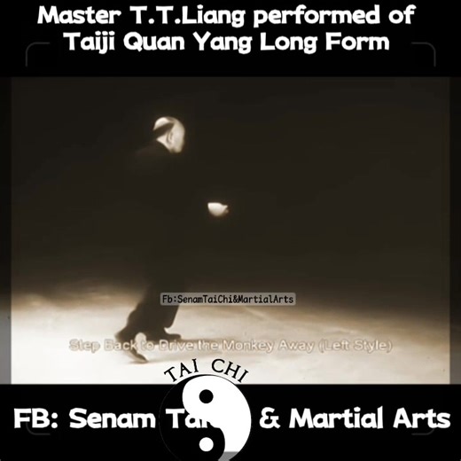 Master T.T. Liang (Liang Tung-tsai, 1900-2002) was a renowned Yang-style Taijiquan master and a key figure in bringing Tai Chi to the United States. While he studied the Yang short form under Cheng Man-ch'ing, he became famous for teaching and performing his own modified version of the Yang Long Form, often referred to as a 150-posture version, which he adapted for better flow and practice with music. Biography of Master T.T. Liang - Early Life & Background: Born in 1900 in Ningpo, Hopei Provinc