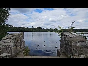 Exploring Virginia Water, Windsor Great Park, Berkshire & Surrey UK