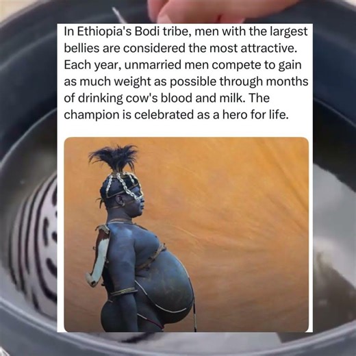 In Ethiopia's Bodi tribe, men with the biggest bellies win—and are celebrated for life. 🩸🥛